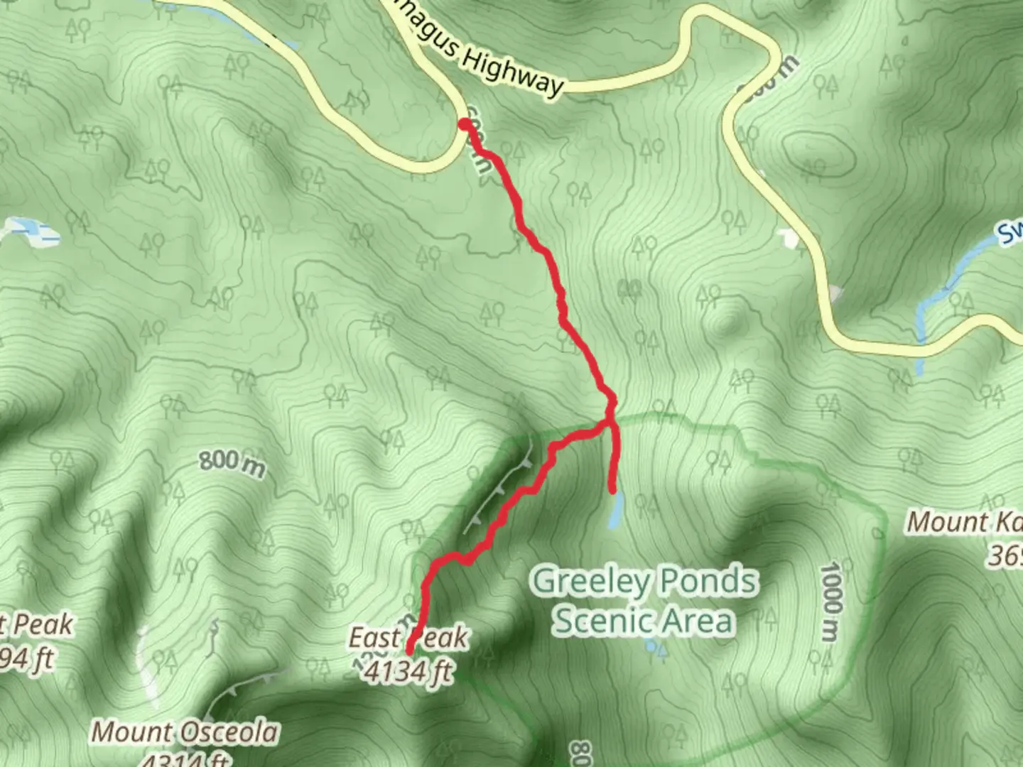An image depicting the trail East Peak and Upper Greeley Pond Trail and its surrounding area.