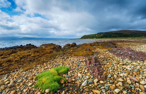 Loch Lorsa, Loch Tanna, Cnoc Breac, Sail Chalmadale and Loch Sail Chalmadale Loop