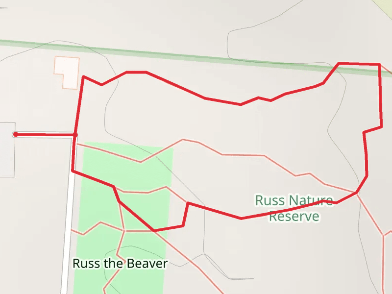 Russ the Beaver Short North Loop