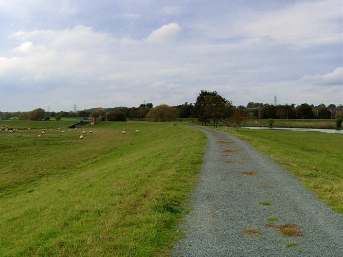 Northampton Washlands Loop