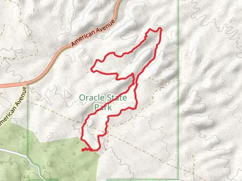 Nature, Wildlife Corridor and Windmill Loop Trail