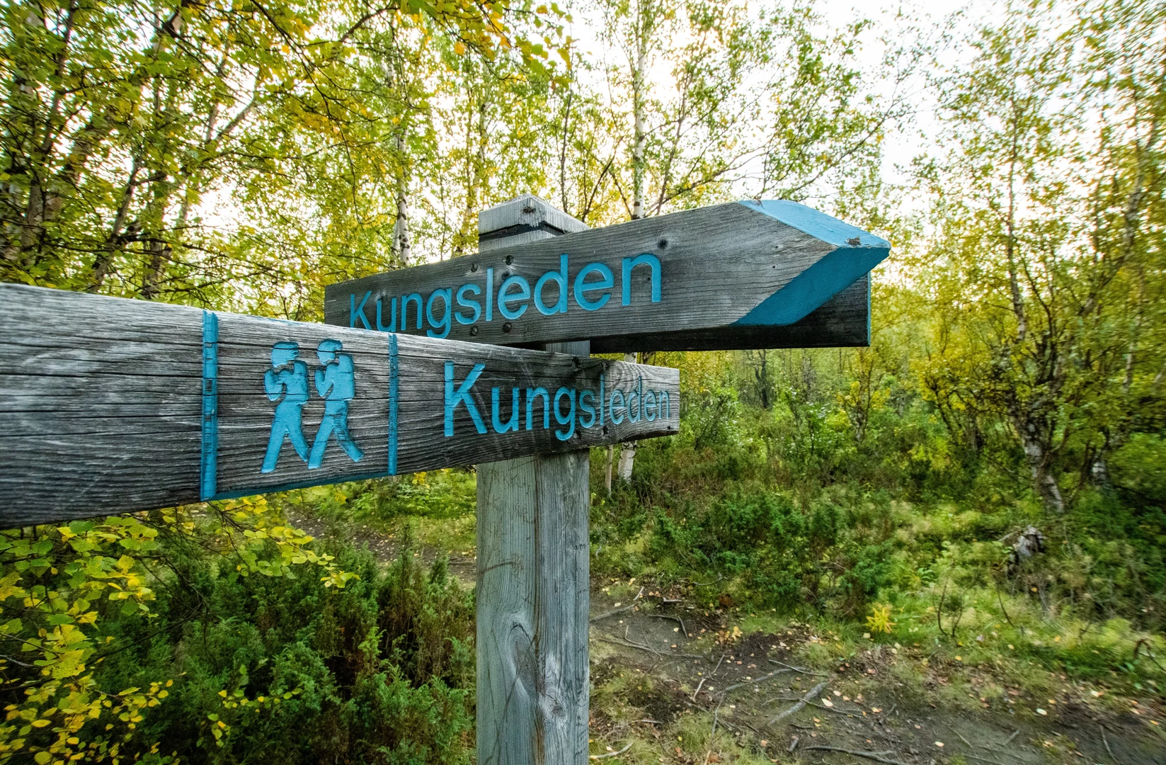An image depicting the trail Kungsleden North and its surrounding area.