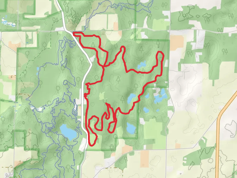Blue Loop Trail