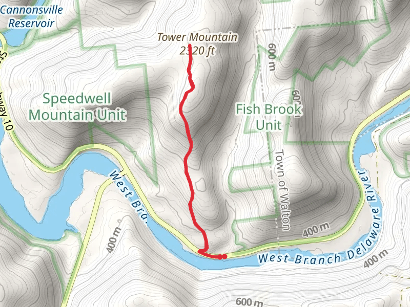 Fish Brook Unit - Tower Mountain Train