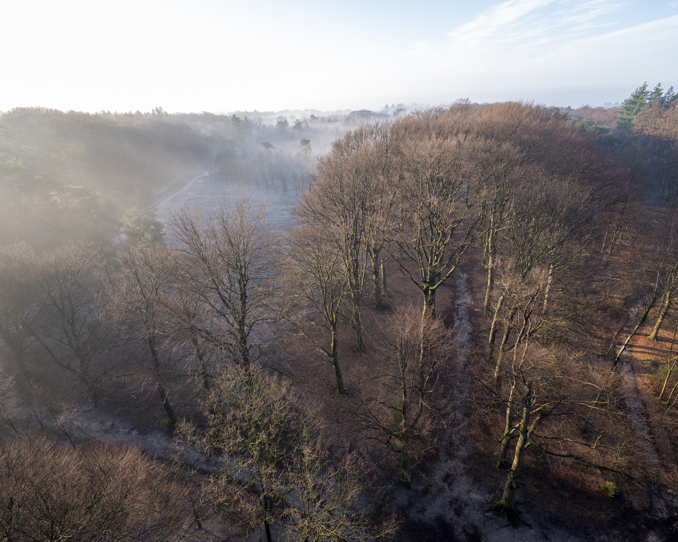 An image depicting the trail Doornse Gat and Bonte Vlucht Loop and its surrounding area.