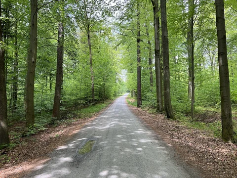 Zeigefinger and Thummelgrotte Loop