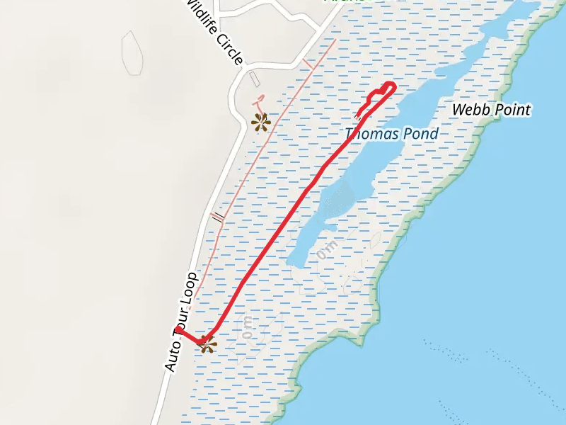 Heron Flats Trail