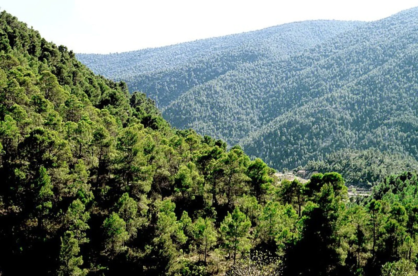 An image depicting the trail Gudar PR TE 033b and its surrounding area.