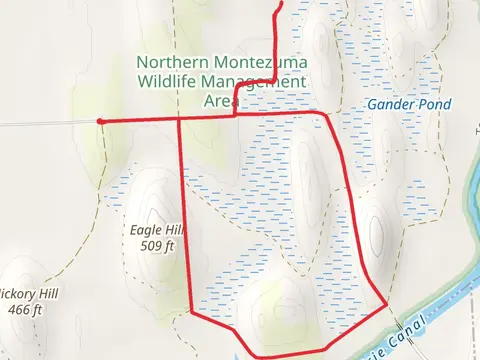 Eagle Hill Loop
