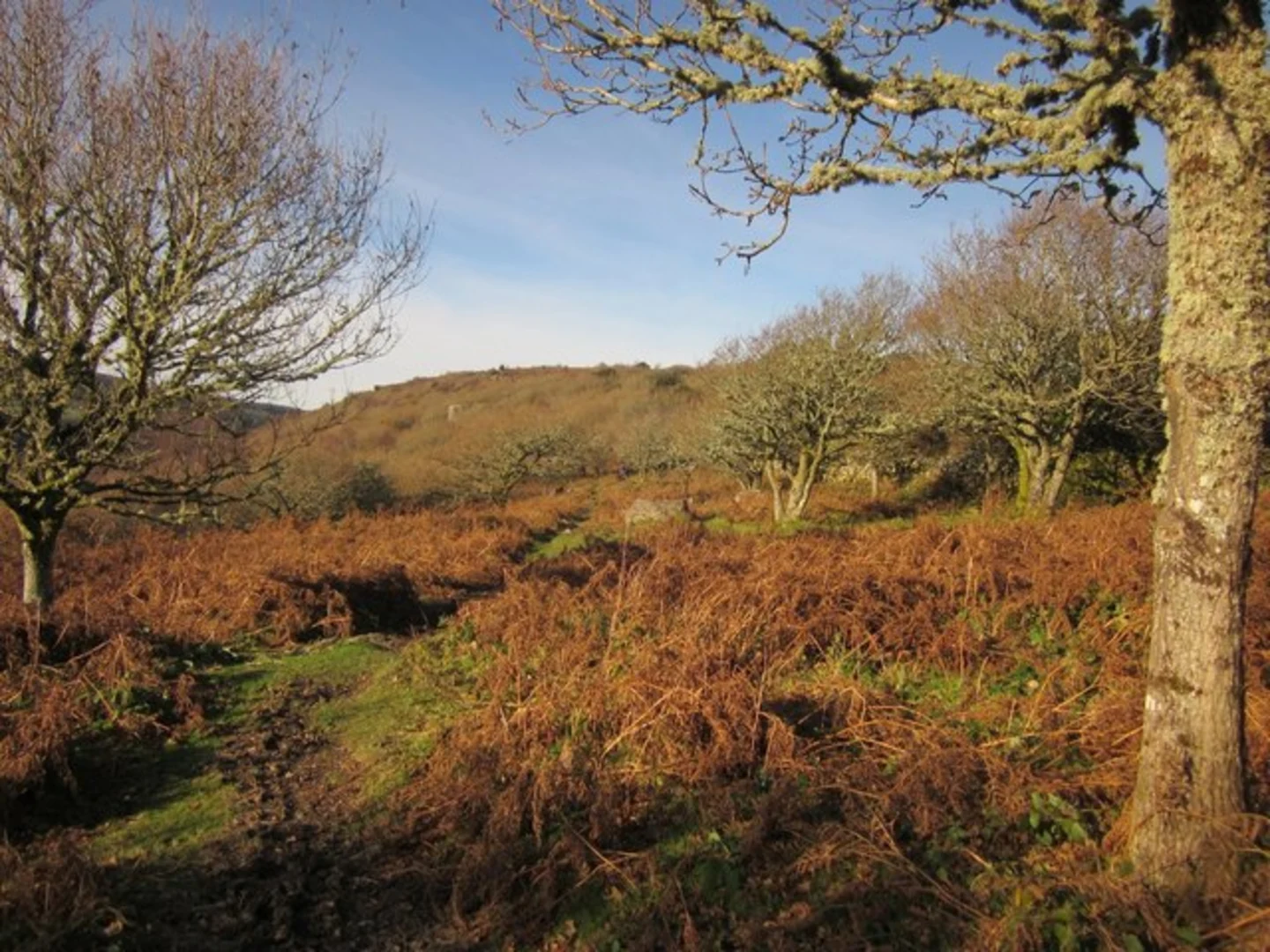 An image depicting the trail Manaton Loop via North Bovey and its surrounding area.