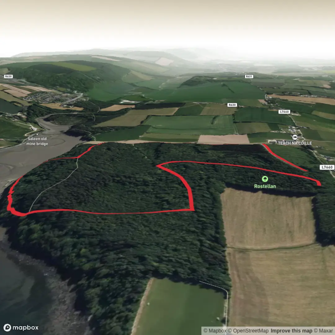 An image depicting the trail Rostellan and its surrounding area.