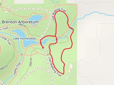Leaf Walking Loop Trail