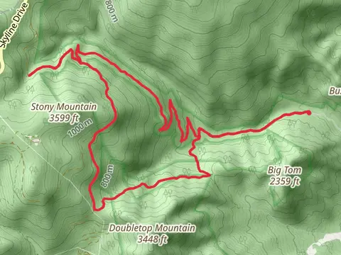 Rose River Fire Road and Stony Mountain Loop Trail