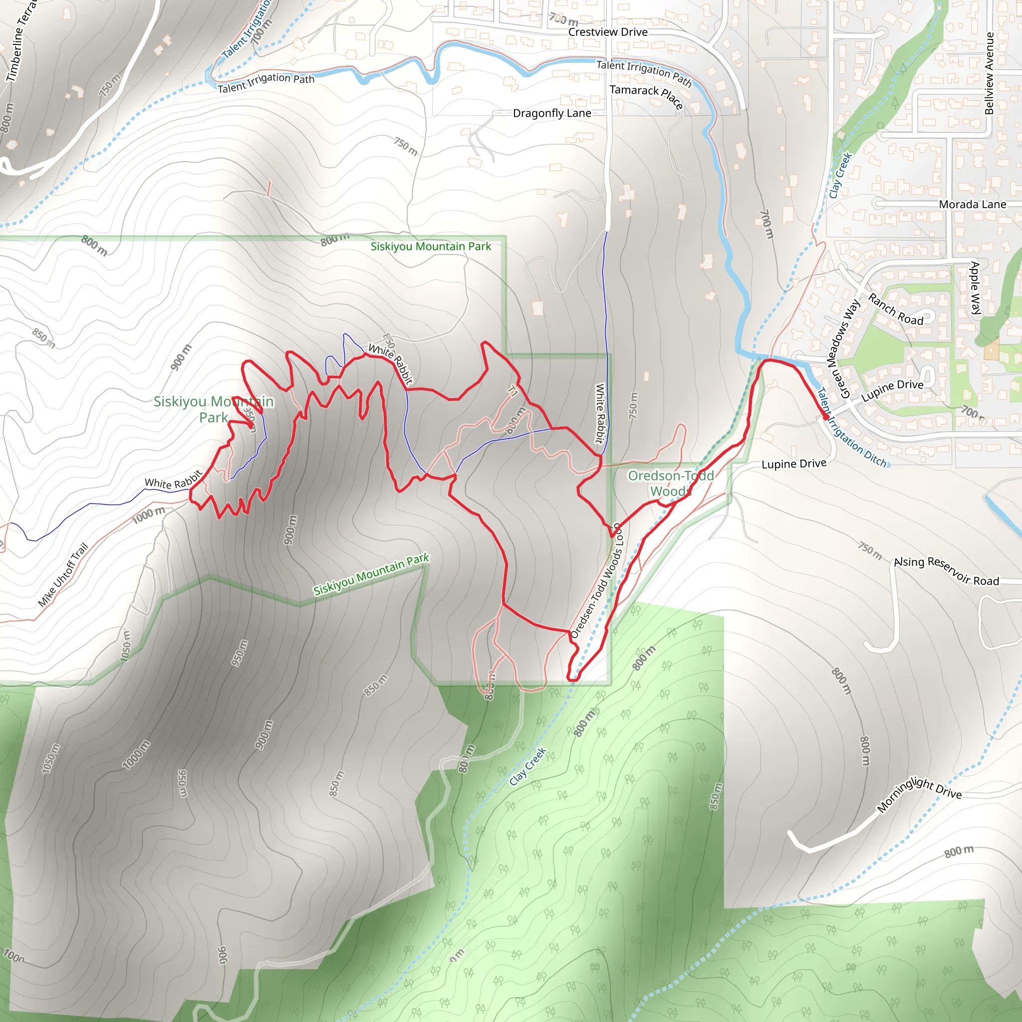 Oredsen-Todd Woods Trail and White Rabbit Trail Loop mobile static map