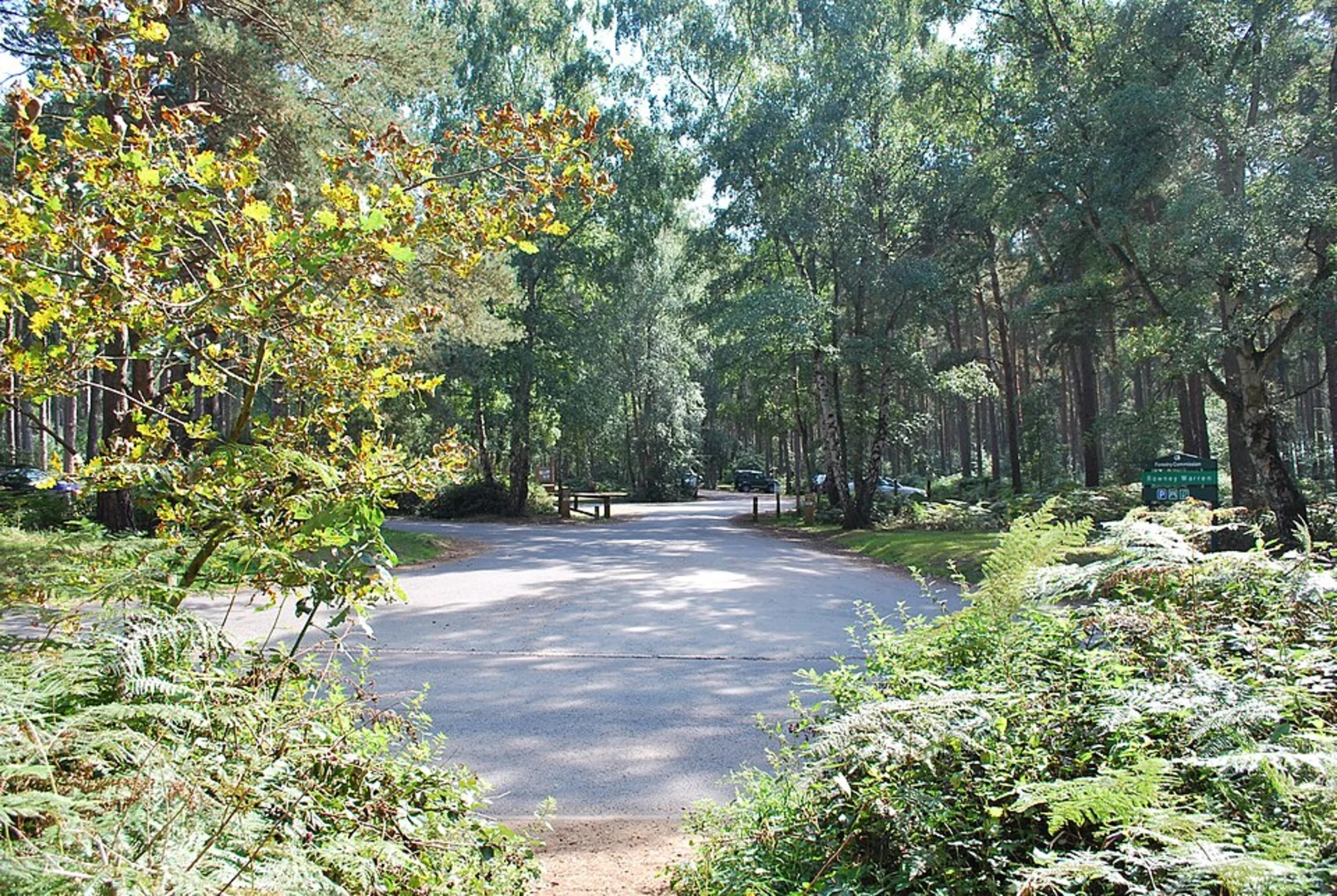 An image depicting the trail Rawney Warren and Chicksands Park and its surrounding area.