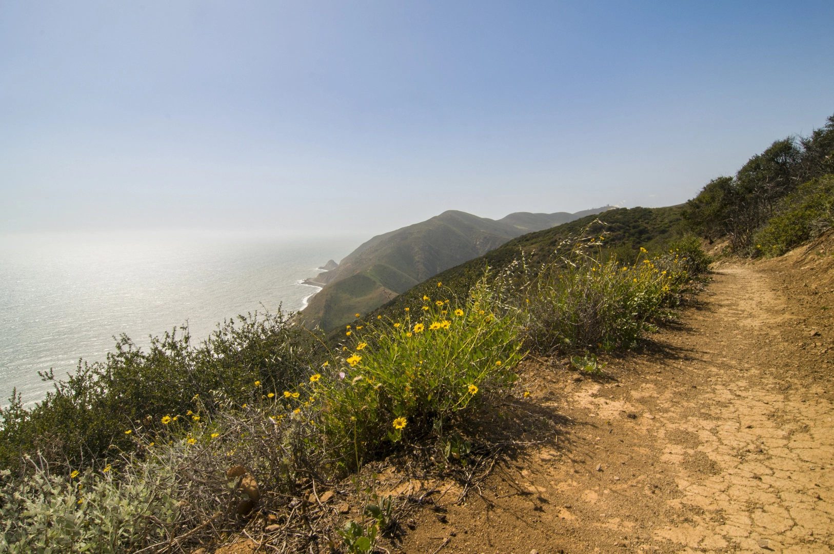 An image depicting the trail Backbone Trail from La Jolla Canyon Creek and its surrounding area.