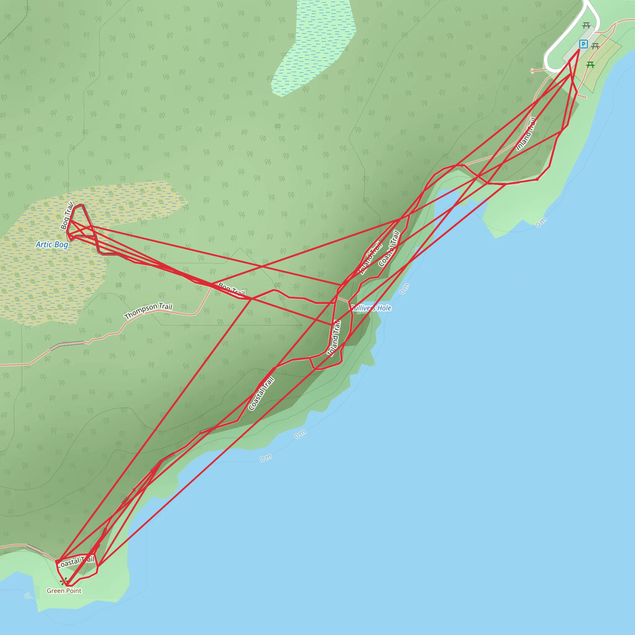 Gulliver Hole-Arctic Bog Trail mobile static map