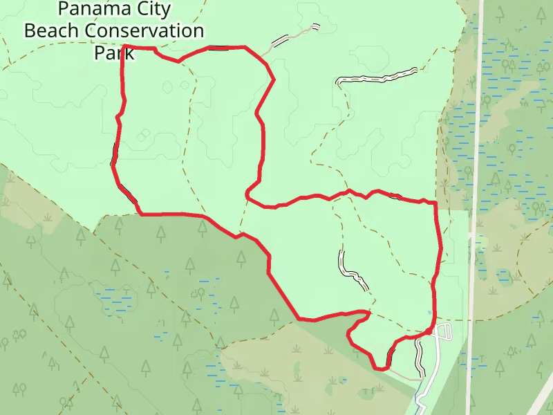 Cypress Pond and Diamondback Loop