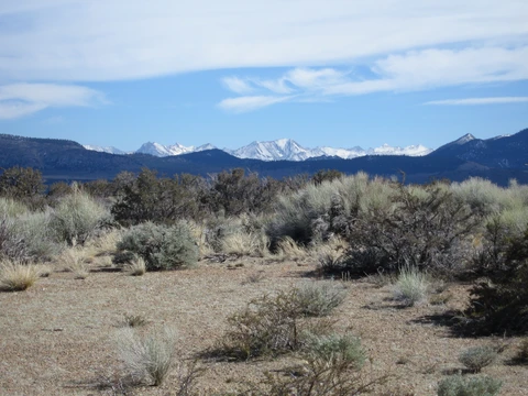 White Mountain via Carnegie Station Trail