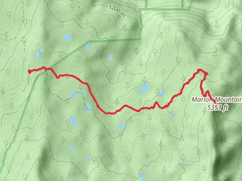 Marion Mountain via Pine Ridge Trail