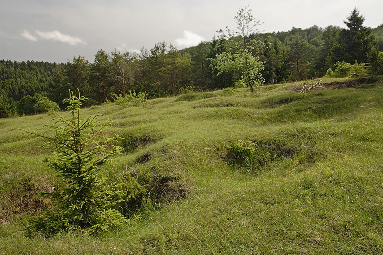 An image depicting the trail Schamotteteich and Lerchenberg Loop and its surrounding area.