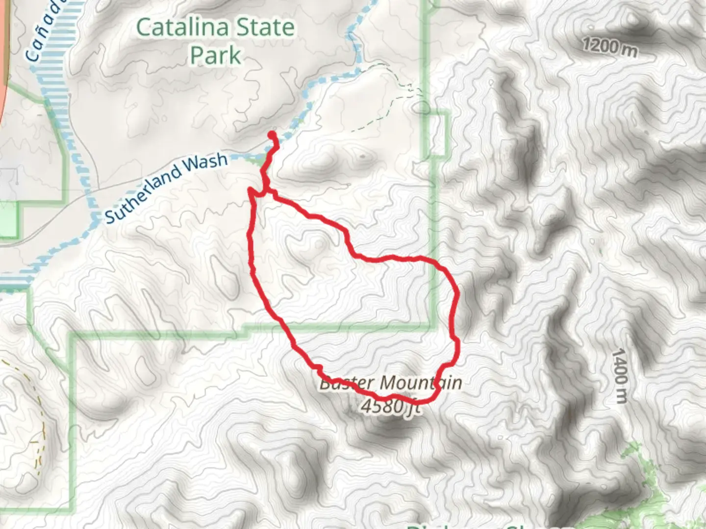 An image depicting the trail Buster Mountain Loop via Birding Trail and its surrounding area.