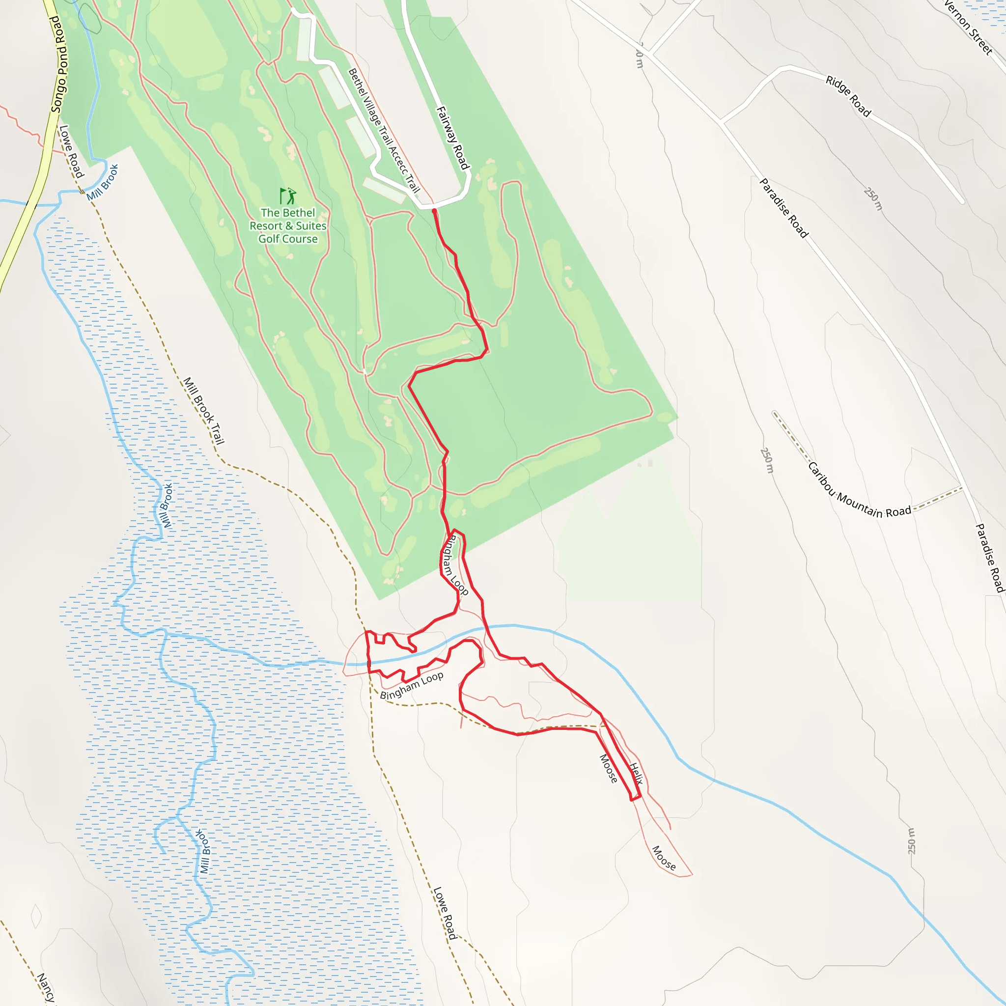 Bingham Loop Trail mobile static map
