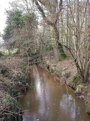 River Stour via Castleman Trailway