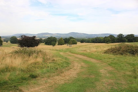 Bodelwyddan Castle Loop