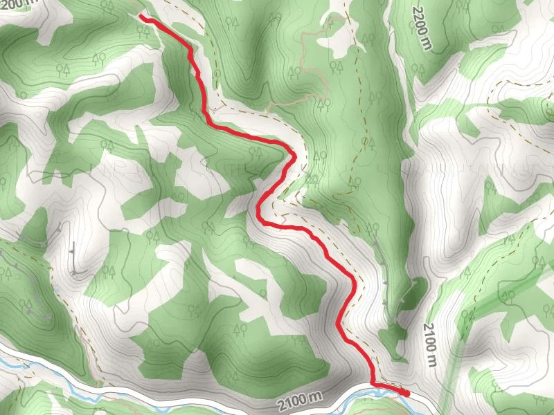 Anasazi - T-Rex Track Trail