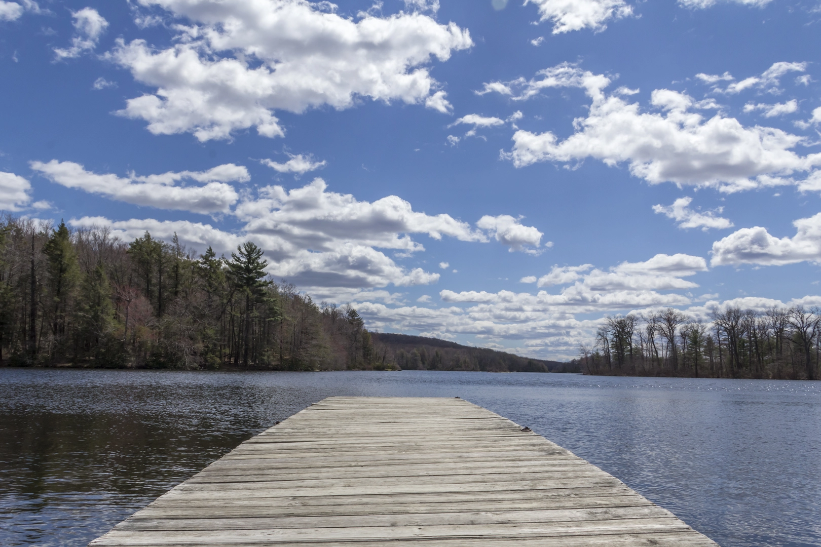 An image depicting the trail Wawayanda Lake and Laurel Pond via Cedar Swamp Trail, Cherry Ridge Trail and Wingdam Trail and its surrounding area.