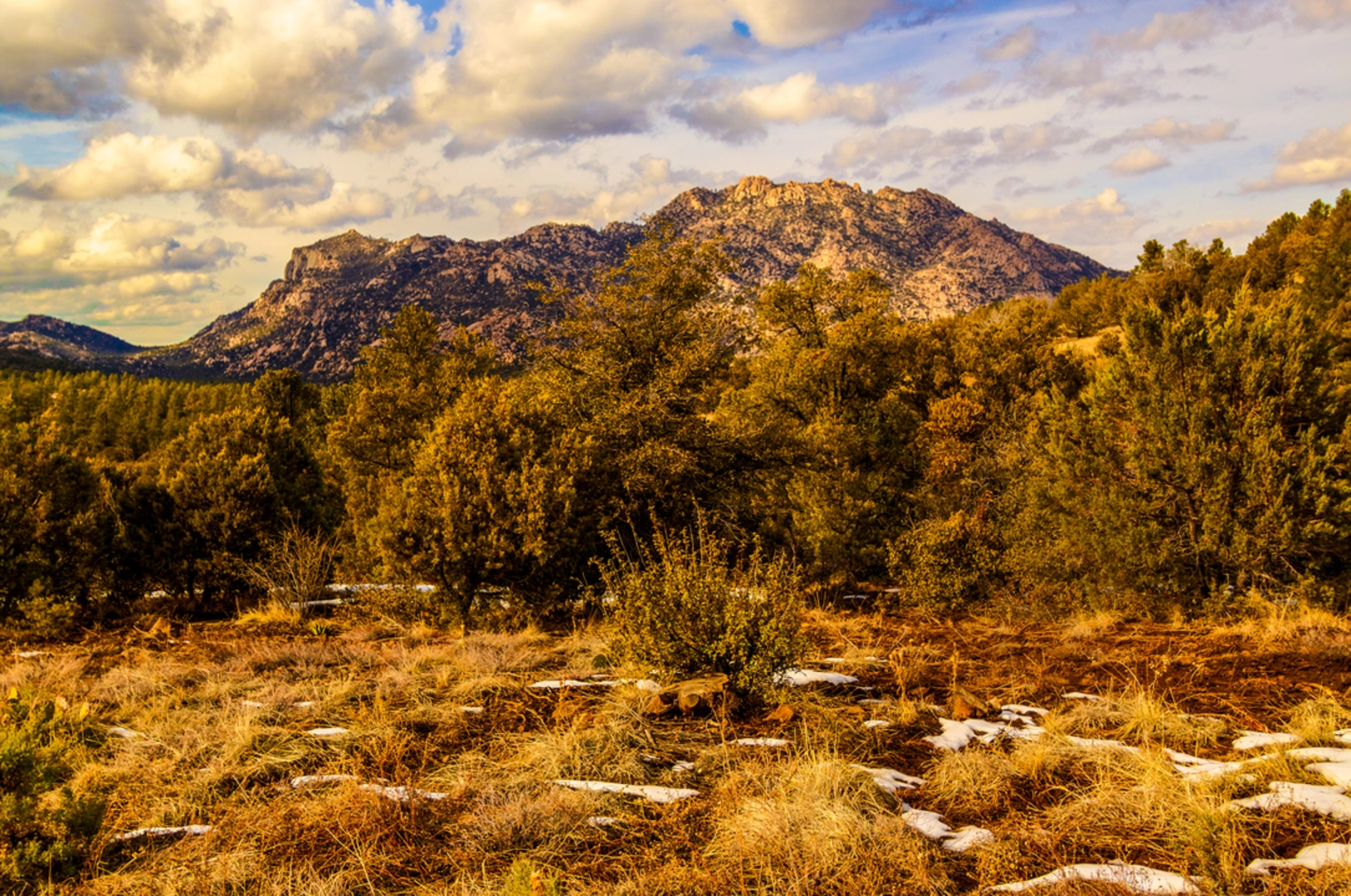 An image depicting the trail Hokaygon Trail via Willow Trail and its surrounding area.