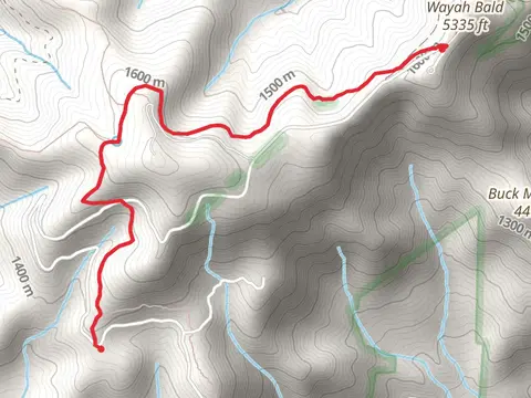 Appalachian Trail and Wilson Luck Trail