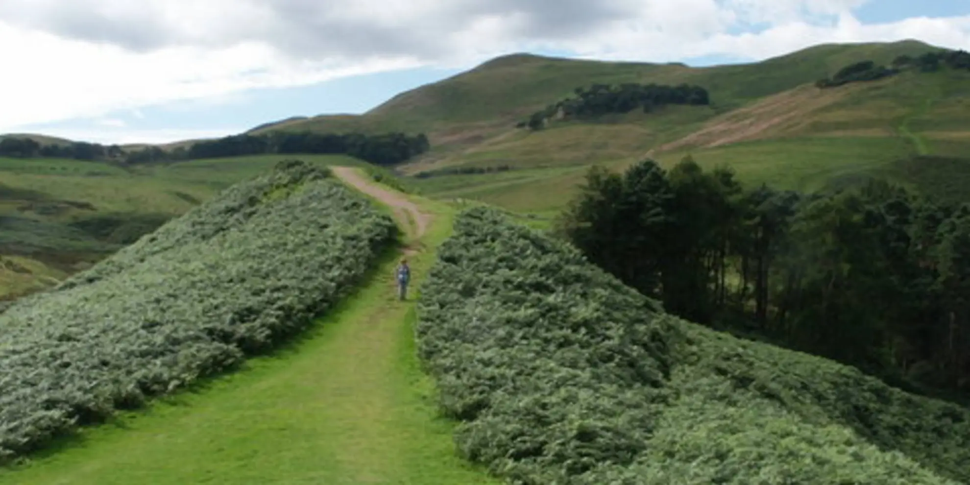 An image depicting the trail Scald Law and Pentland Hills Ridge from near Penicuik and its surrounding area.