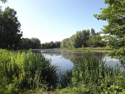 Biddulph Way and Whitfield Valley Local Nature Reserve Knot