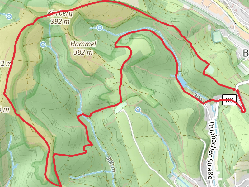 NSG Kirrberg via Trupbacher Heide Rundweg