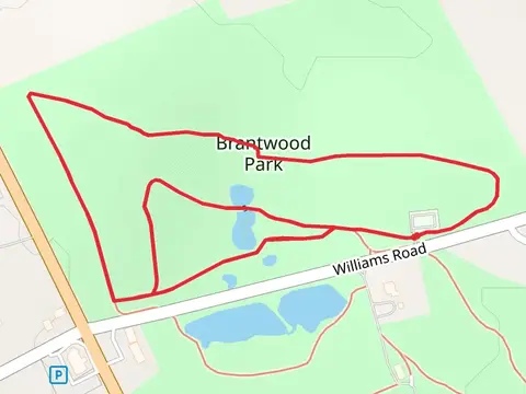 Williams Road Loop