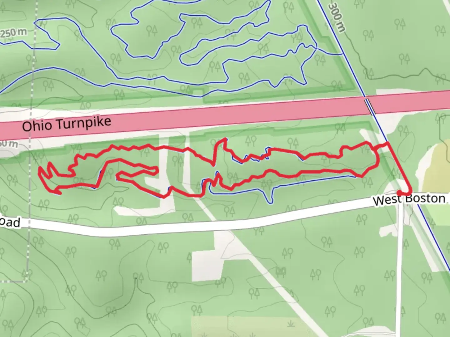 An image depicting the trail East Rim Phase 1 Loop and its surrounding area.