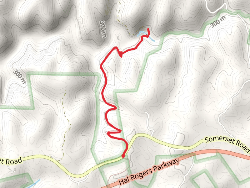 Sheltowee Trace