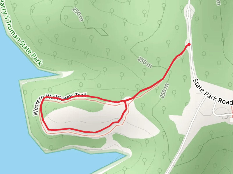 Western Wallflower Loop Trail