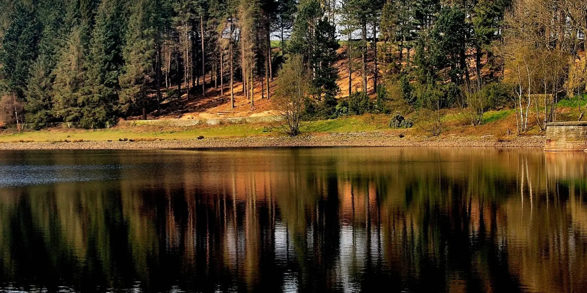 An image depicting the trail Cal-Der-Went Walk and its surrounding area.