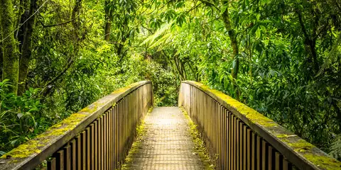 Waitomo Walkway