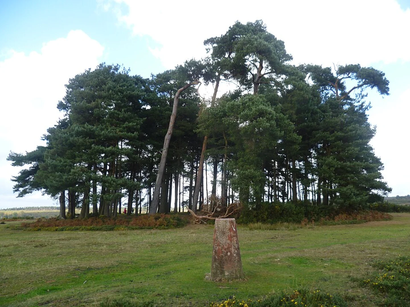 An image depicting the trail Fairwarp and Duddleswell Loop and its surrounding area.