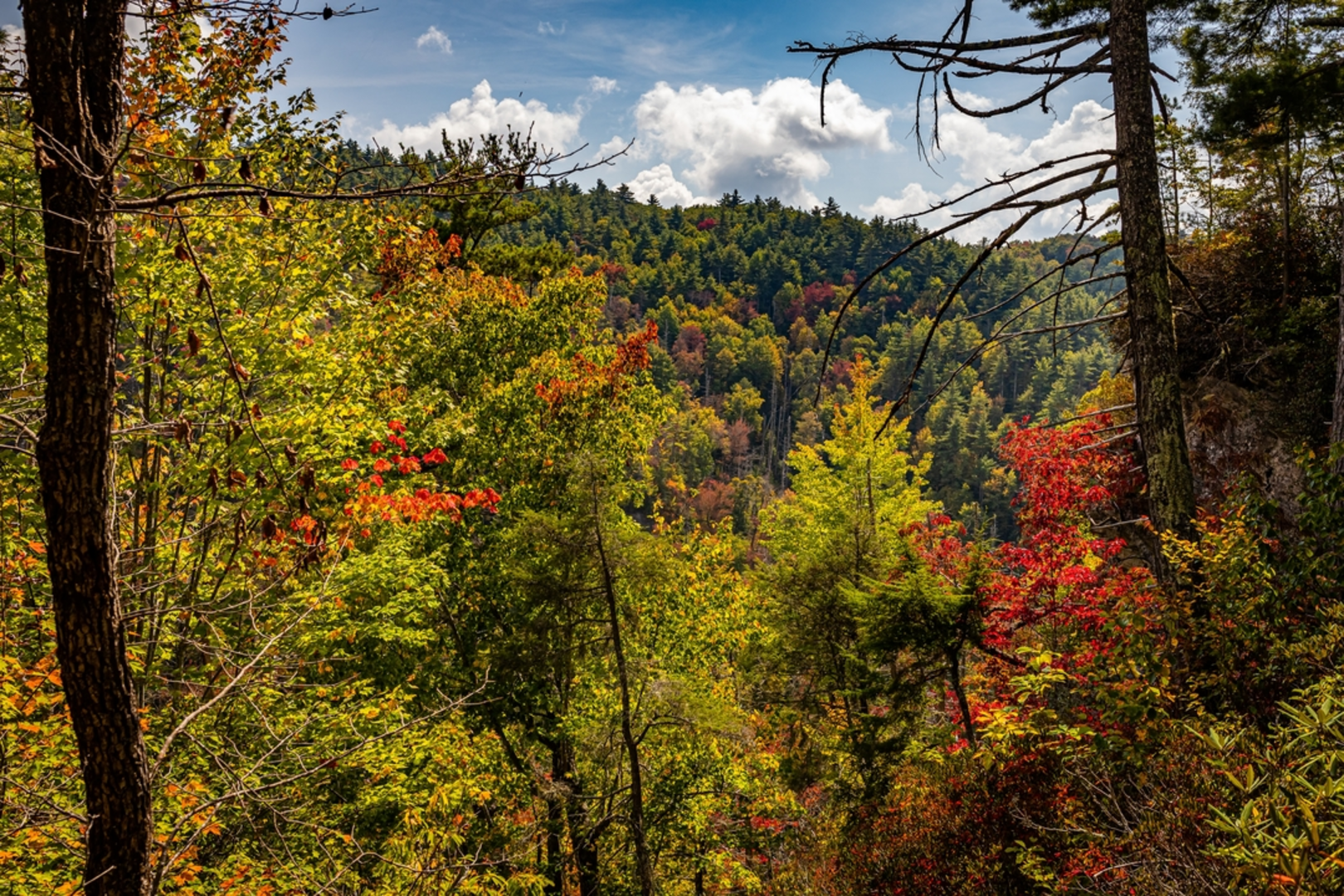 An image depicting the trail Babel Tower Trail and its surrounding area.