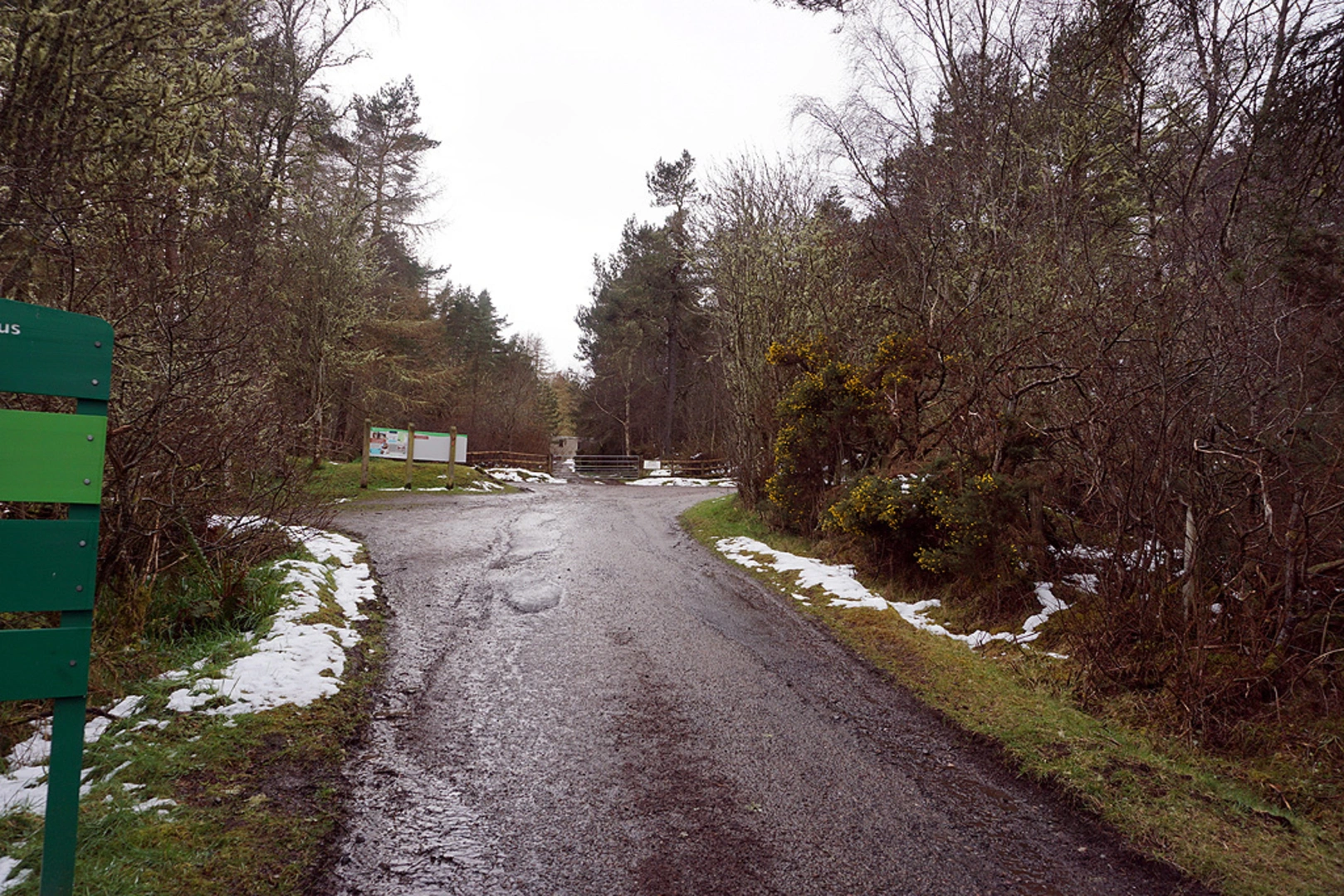 An image depicting the trail Pulpit Rock Loop Trail and its surrounding area.