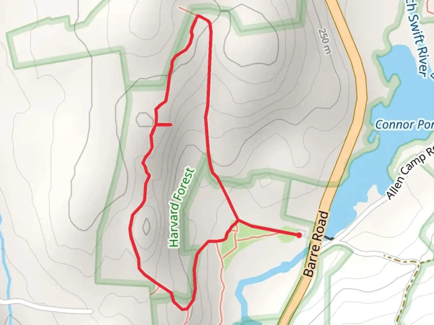 An image depicting the trail Reed Loop Trail and its surrounding area.