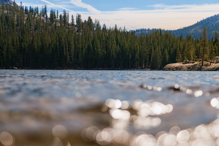 Tenaya Lake Trail