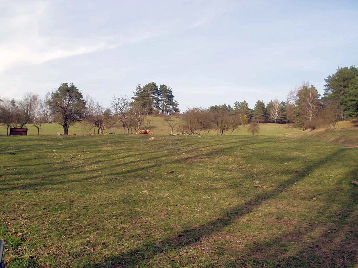 An image depicting the trail Liepe to Falkenberg Walk and its surrounding area.