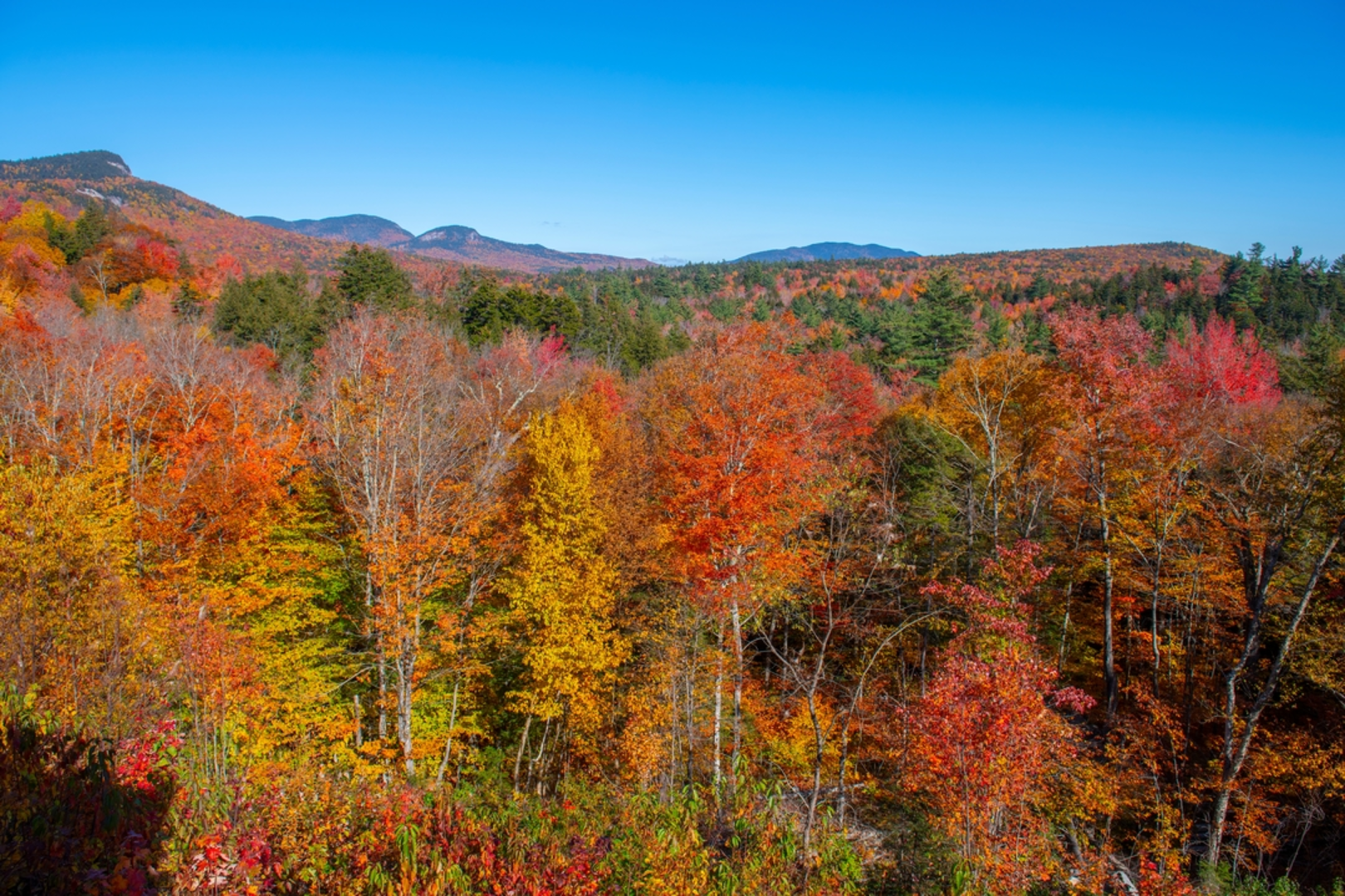 An image depicting the trail Sawyer Pond Trail and its surrounding area.