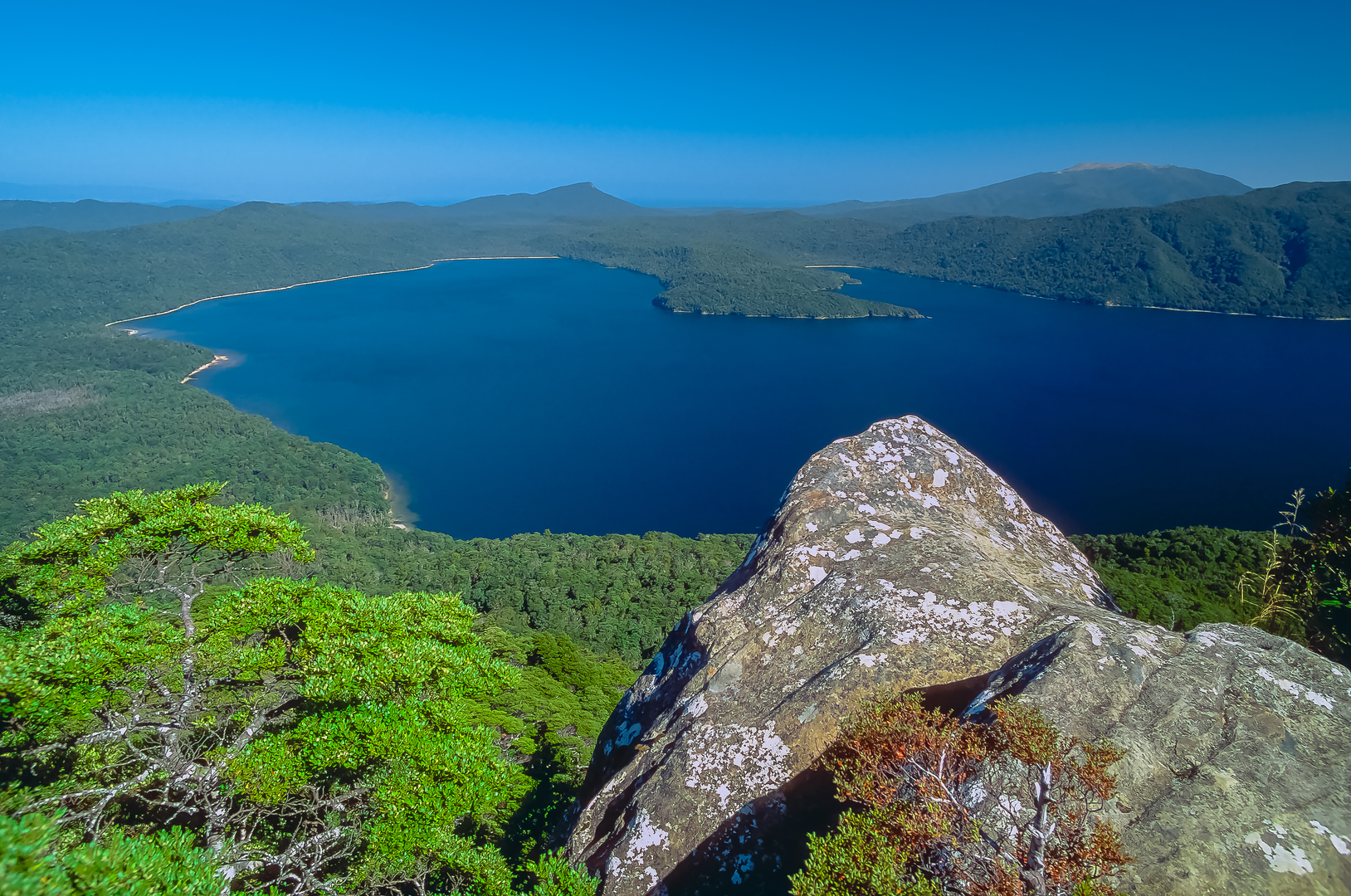 An image depicting the trail Lake Hauroko Lookout Track and its surrounding area.